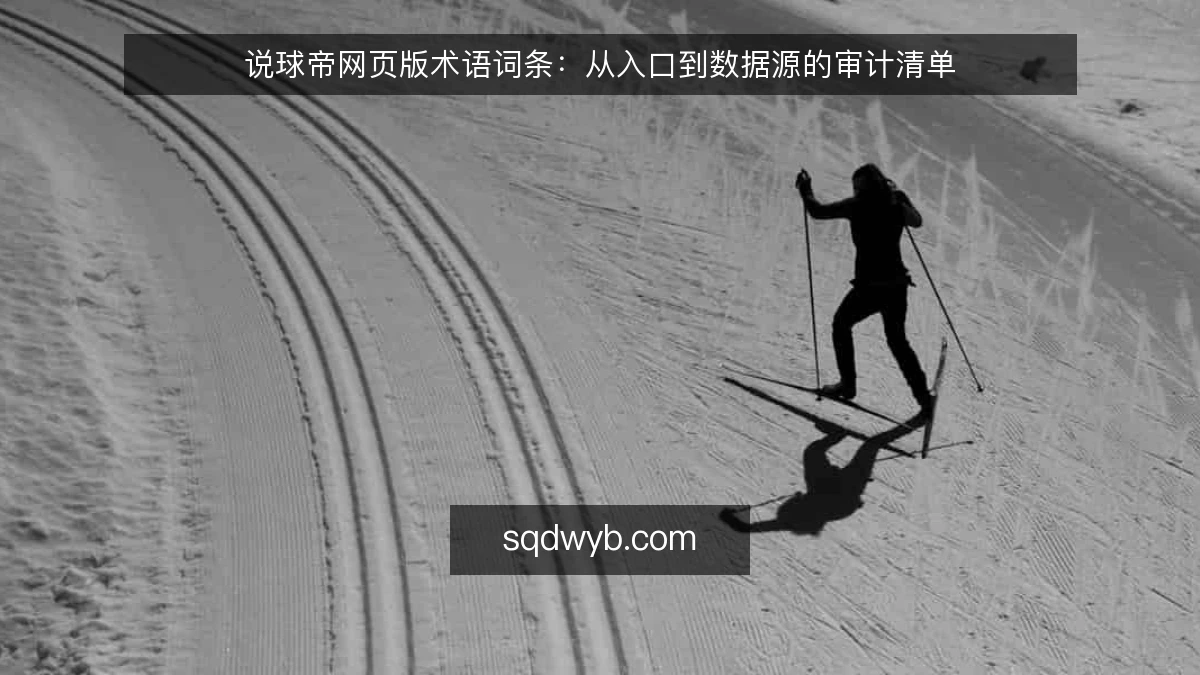 说球帝网页版术语词条：从入口到数据源的审计清单