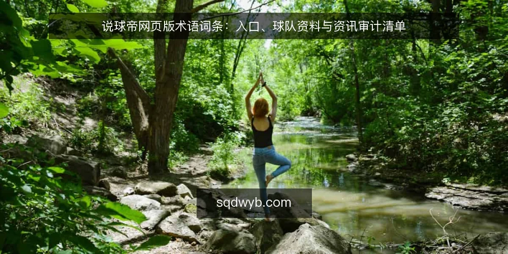 说球帝网页版术语词条：入口、球队资料与资讯审计清单 — 为何现在要做术语审计 配图